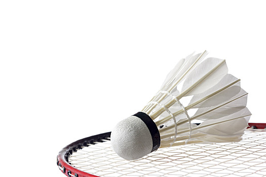 暴露了國足 暴露了國足